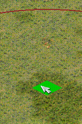 1111.gif