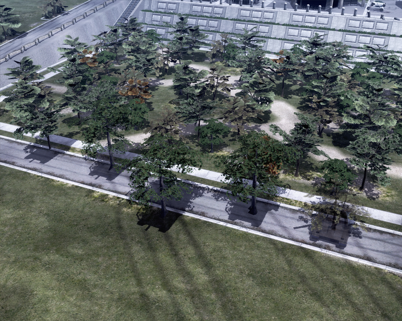 MirageTank_Trees_04.jpg