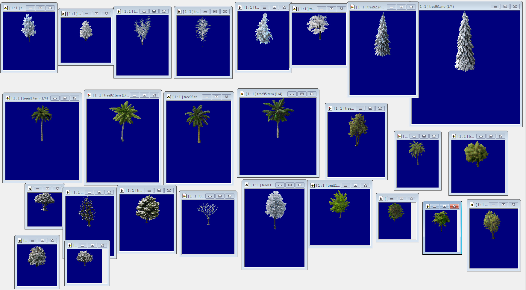 tree medley.jpg